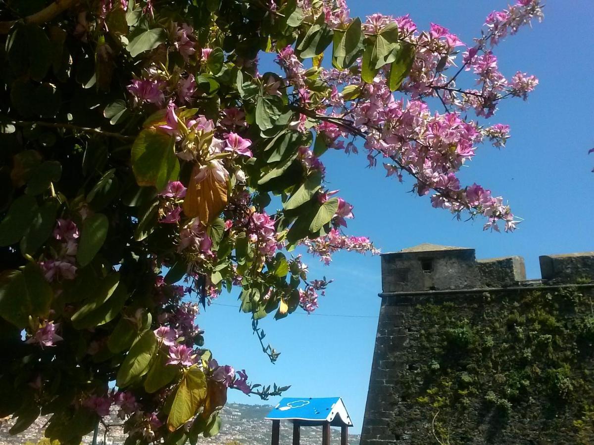 Casa Pico Musica Apartamento Funchal  Exterior foto